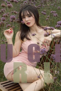 电视剧儿女的战争