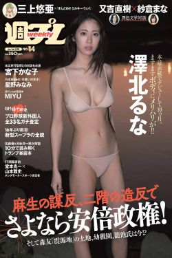 钻石大劫案电影张浩