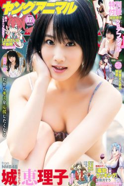 木府风云电视剧全集