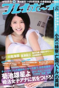 每逢国庆思佳婿短剧免费观看