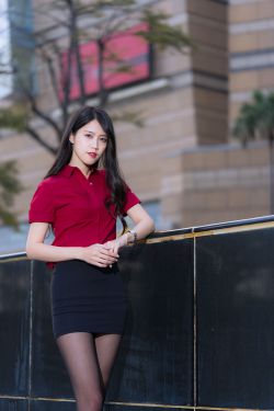 格子间女人电视剧
