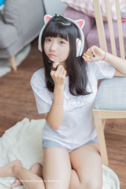 电视连续剧黑狐