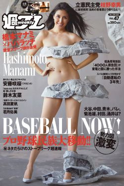 巡回检察组完整版