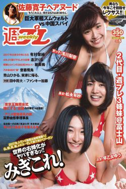 非公认战队秋叶原连者